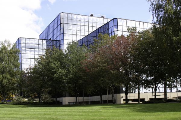 Commercial Tree Trimming in Terre Haute